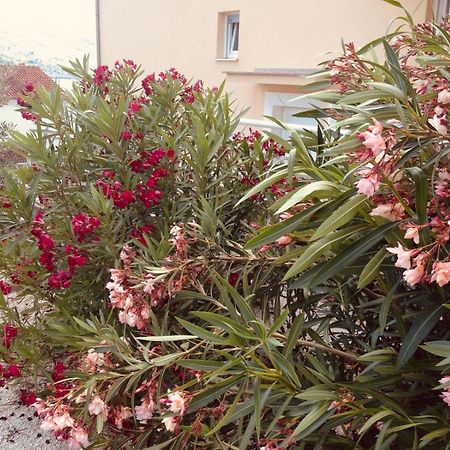 House Agradable Apartment Seget Vranjica Luaran gambar